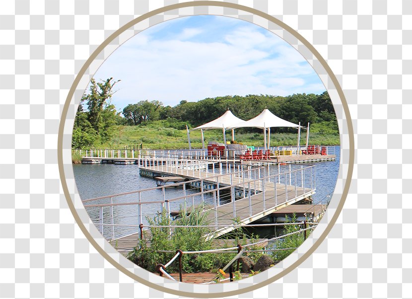 Ecoland Theme Park Amusement Recreation Lake Leisure - Grassland - Ecological Transparent PNG