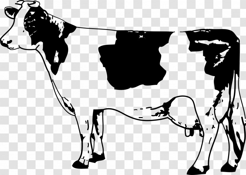 Texas Longhorn Jersey Cattle Drawing Clip Art - Mammal - Cow Transparent PNG