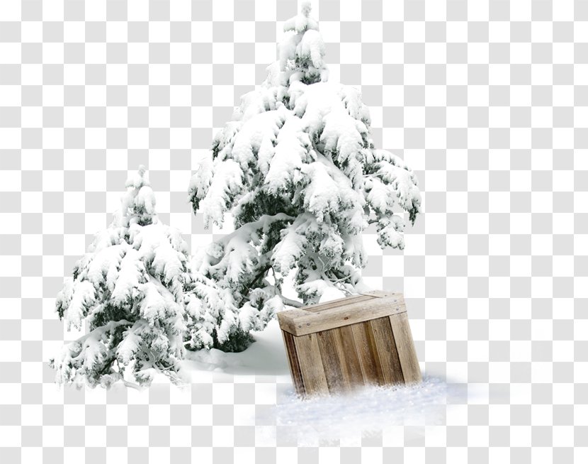 Winter Snow Tree Forest - Christmas Ornament - Pine Wooden Box Transparent PNG