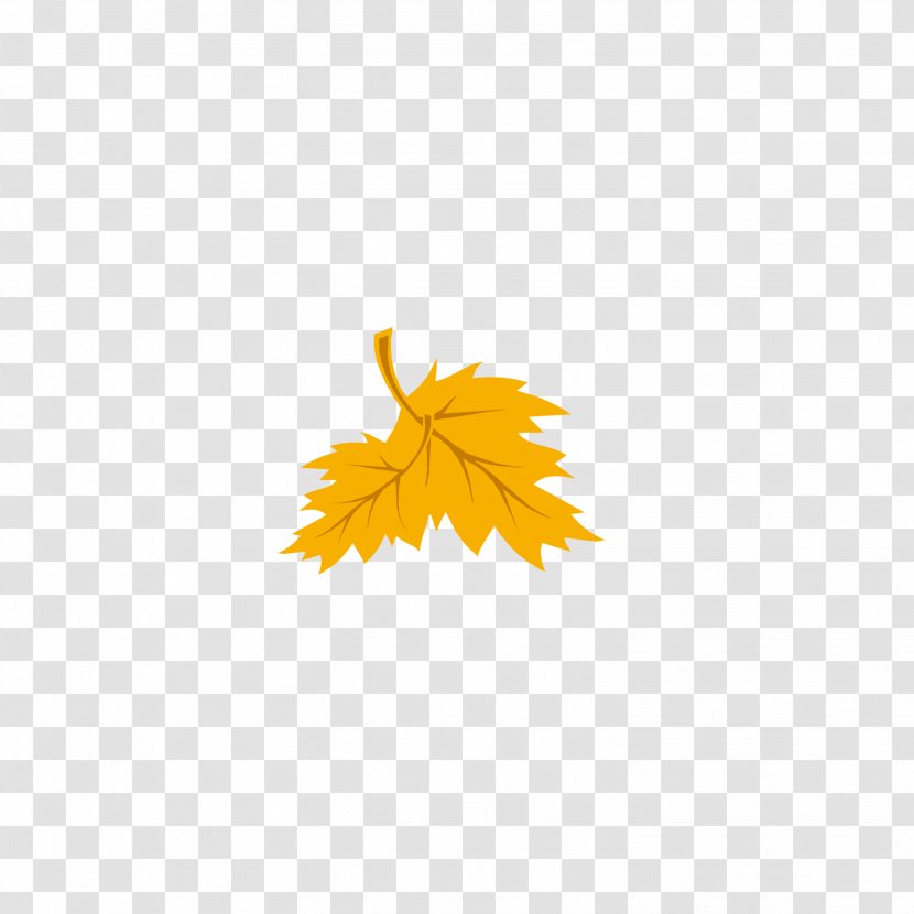 Leaf Yellow Petal Wallpaper - Maple - Falling Leaves Transparent PNG