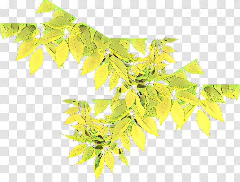 Tree Branch - Leaf - Flower Transparent PNG