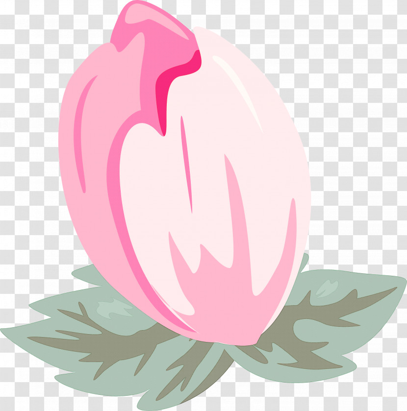 Lotus Transparent PNG