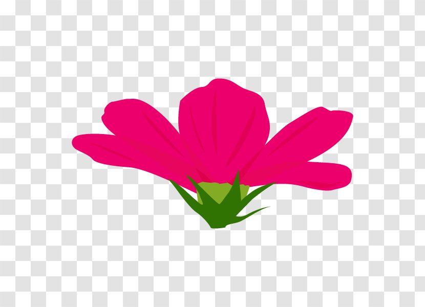 Flowering Plant Clip Art Herbaceous Stem Pink M - Petal - Flora Transparent PNG