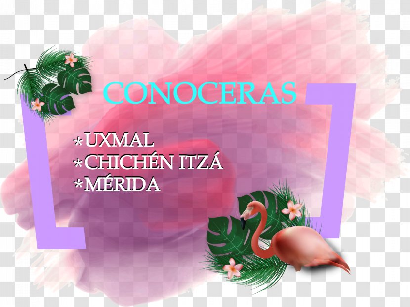 Chichen Itza Uxmal Puuc Celestún Chichén Itzá - Flower - Travel Transparent PNG