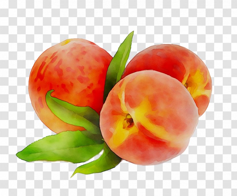 Peach Diet Food Still Life Photography - Drupe - Prunus Transparent PNG