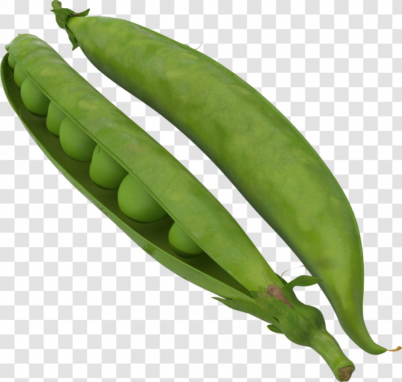 Snap Pea Vegetarian Cuisine Serrano Pepper Broad Bean Transparent PNG