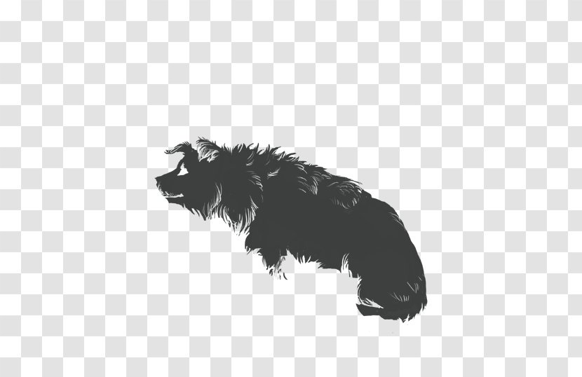 Black Border - Directory - Pomeranian Collie Transparent PNG