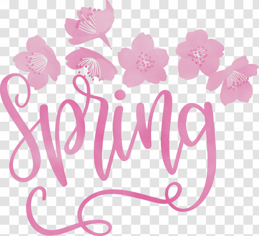 Floral Design Transparent PNG