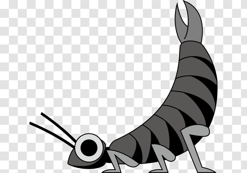 Clip Art Horse Canidae Dog Fauna - Earwigs Insect Transparent PNG