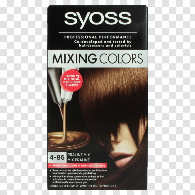 Human Hair Color Coloring Mixing Hairdresser - Capelli - Mix Transparent PNG