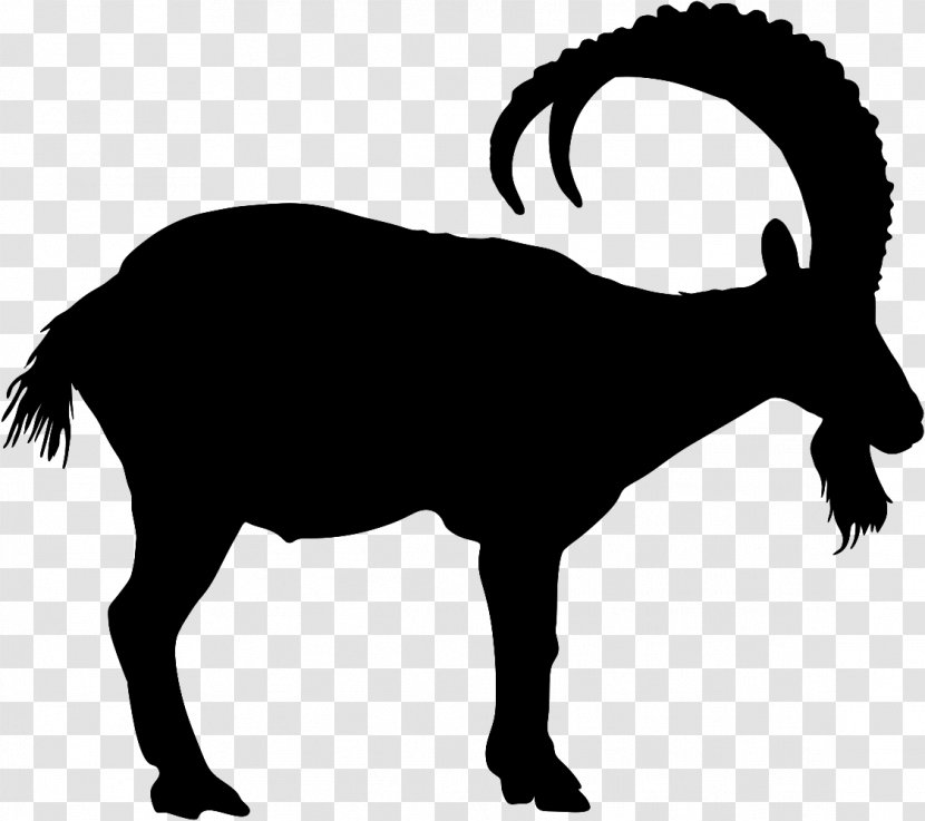 Goats Clip Art Horn Bighorn Snout - Goatantelope Terrestrial Animal Transparent PNG