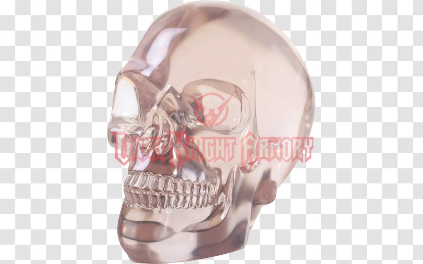 Human Skull Symbolism Skeleton Head - Sculpture Transparent PNG