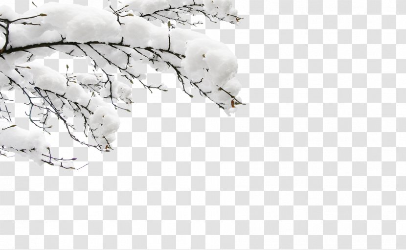 Lidong Dongzhi Taobao Winter - Monochrome - Rime Scenery Transparent PNG