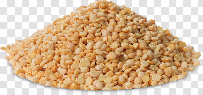 Maize Cereal Germ Whole Grain Corn Kernel - Embryo - Wheat Bran Transparent PNG