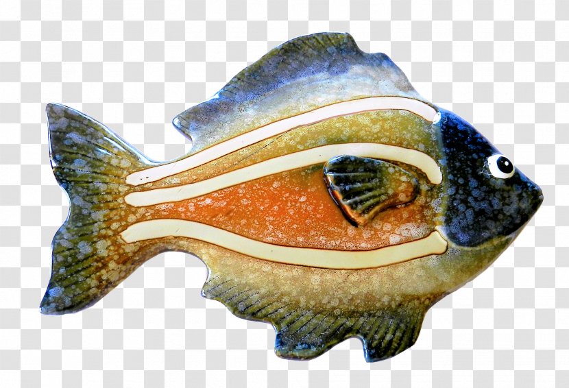 Fish Bluegill Transparent PNG