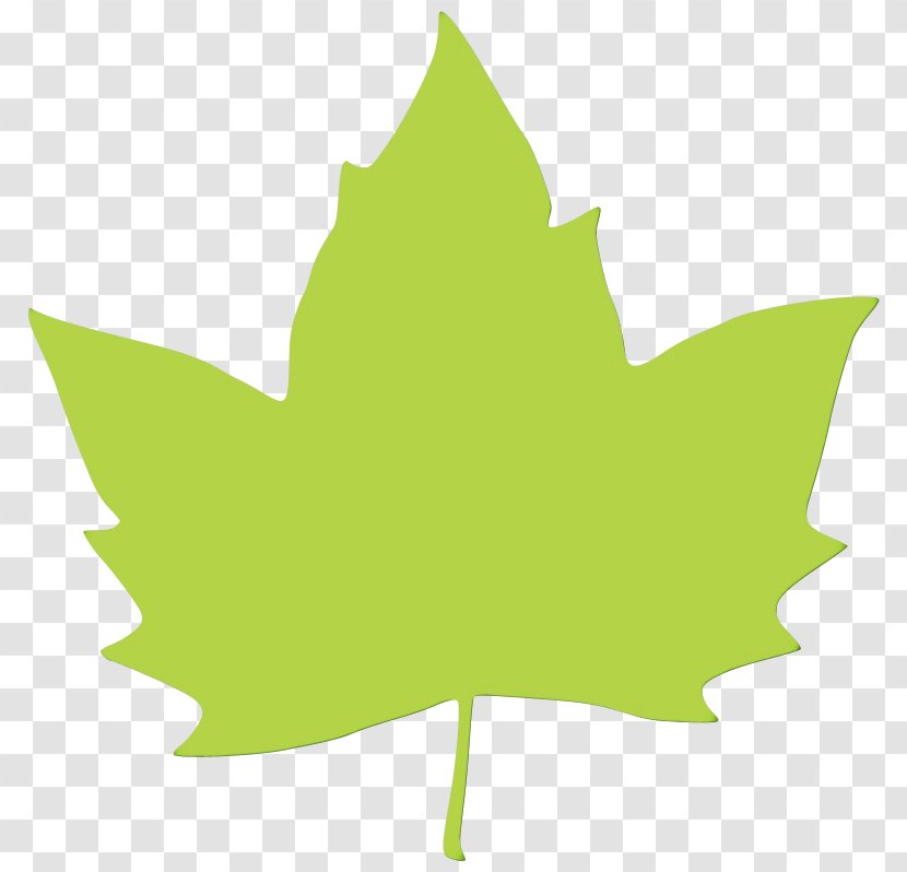 Maple Leaf - Paint - Black Woody Plant Transparent PNG