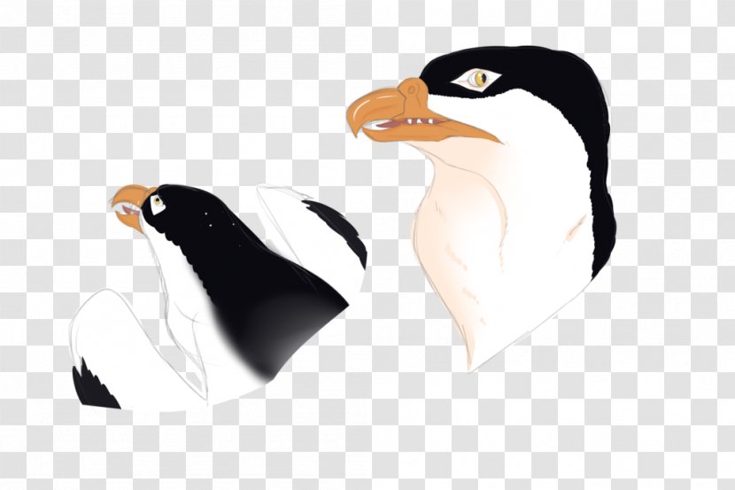 Penguin Cygnini Goose Anatidae Duck Transparent PNG