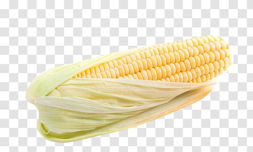 Corn On The Cob Maize - Kernels Transparent PNG