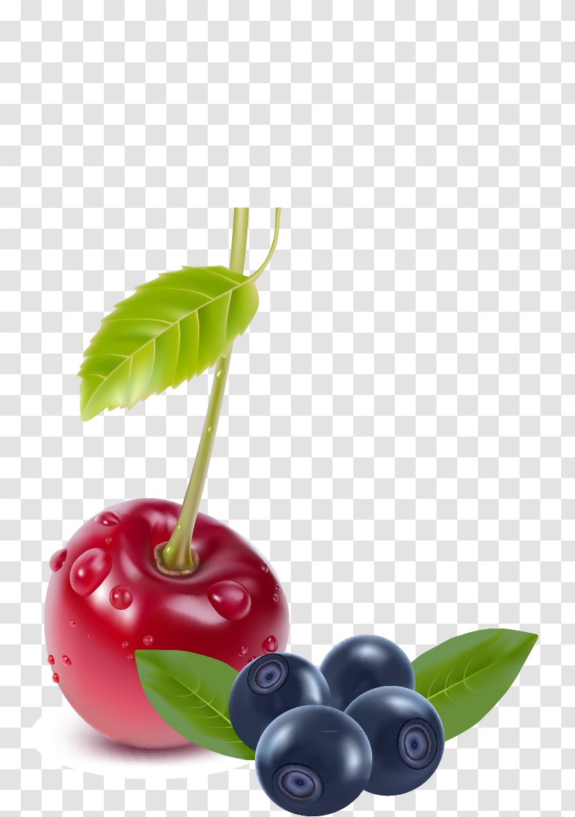 Cherry Berry Fruit - Blueberry - Vector Material Transparent PNG