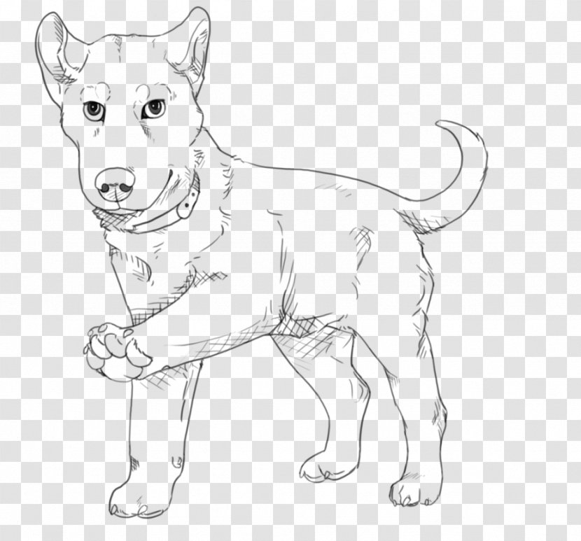Dog Breed Puppy Line Art Drawing - Artwork - Husky Transparent PNG