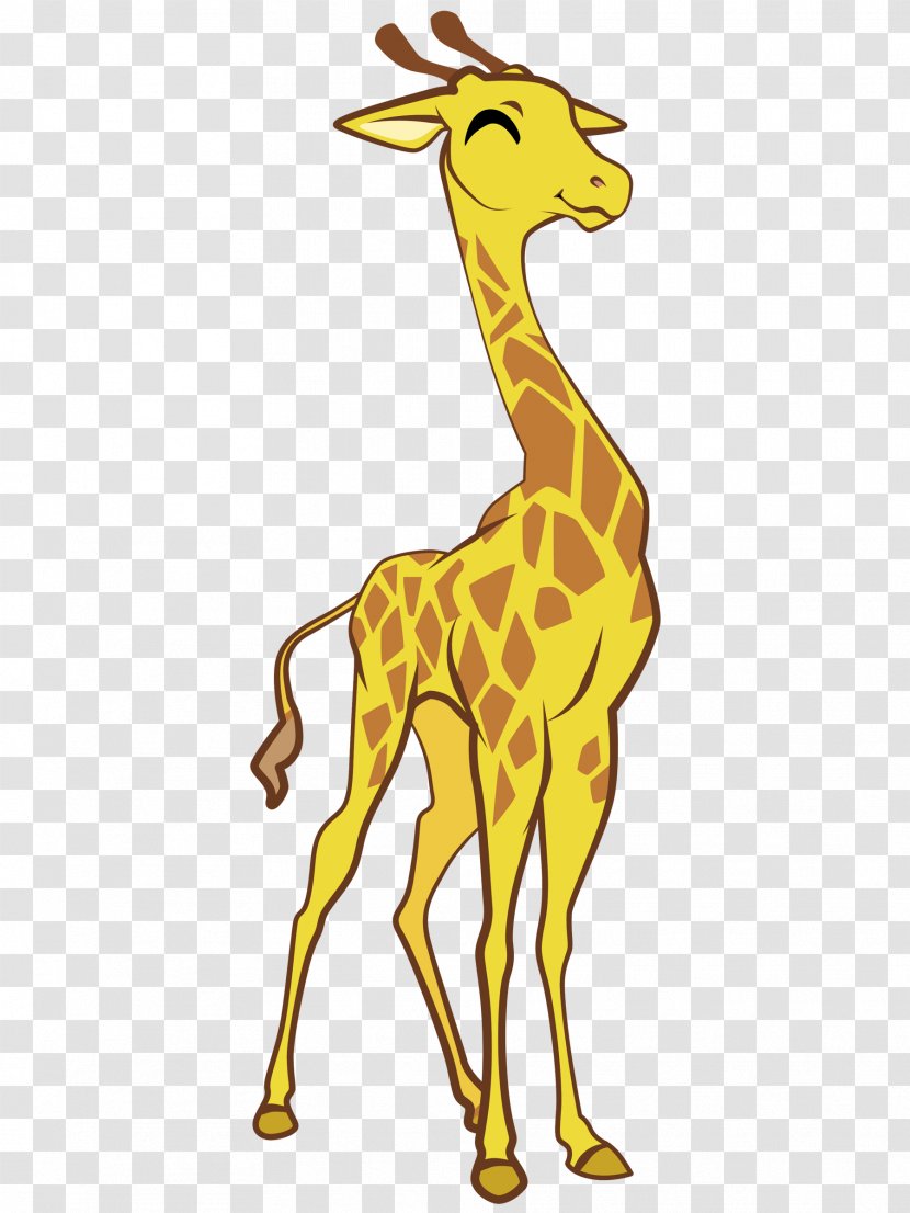 Northern Giraffe South African Wildlife Clip Art - Jungle Safari Transparent PNG