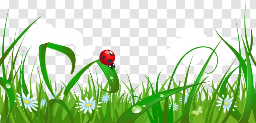 Poster Vexel - Plant - Cartoon Fresh Spring Grass Transparent PNG