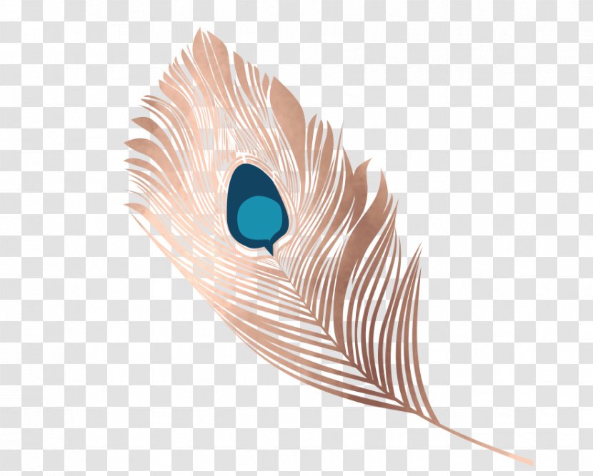 Feather Material Eye Transparent PNG