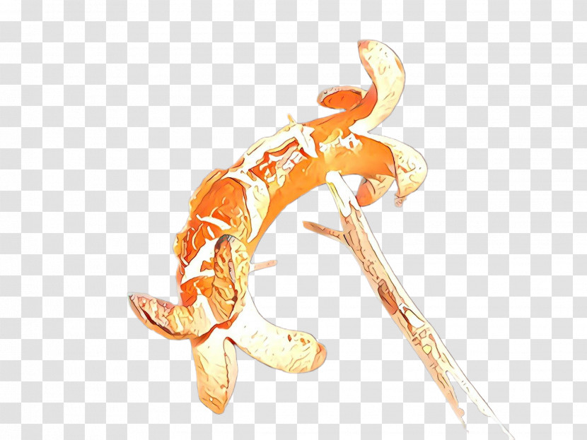 Orange Transparent PNG