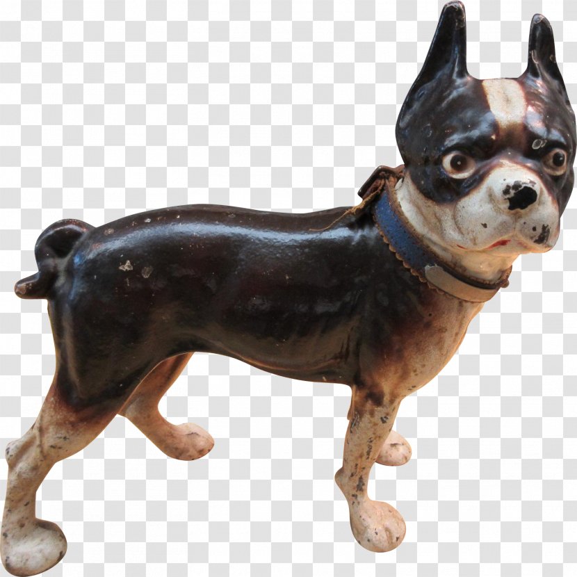 Boston Terrier French Bulldog Dog Breed Companion - Non Sporting Group Transparent PNG
