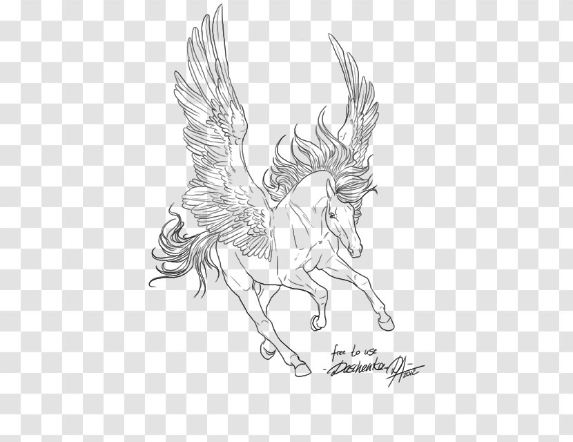 Line Art Pegasus Drawing Horse - White Transparent PNG