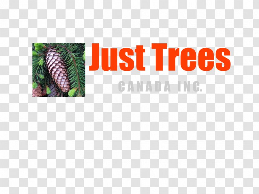 Just Trees Canada Inc. Education Curso Livre Course - Experience - Tree Transparent PNG