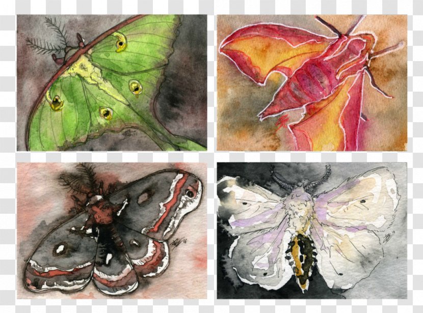 Brush-footed Butterflies Silkworm Butterfly Painting And Moths - Arthropod Transparent PNG