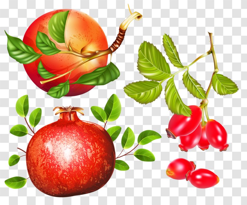Apple Herb Pomegranate Transparent PNG