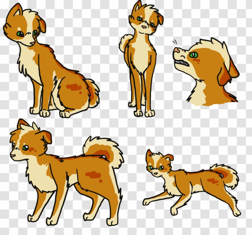 Dog Breed Puppy Lion Red Fox Transparent PNG