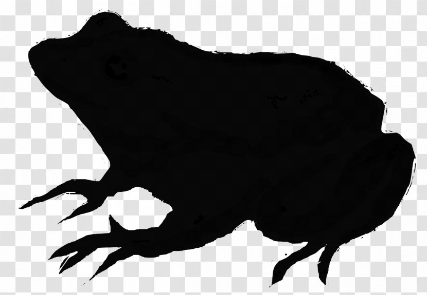 Fauna Silhouette Carnivores Beak Black M - Bufo Transparent PNG