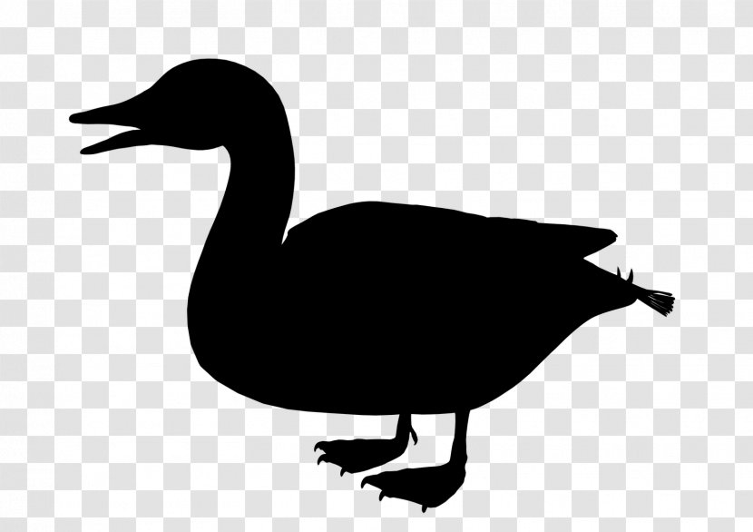 Duck Goose Clip Art Fowl Fauna - Beak Transparent PNG
