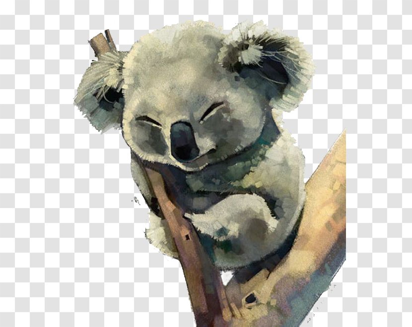 Australia Koala Watercolor Painting - Drawing Transparent PNG