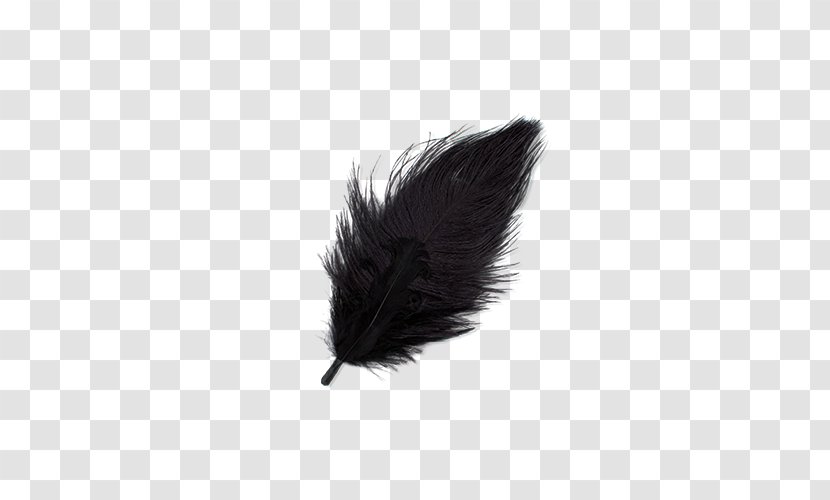 Feather Light Hewlett-Packard Toner - Hewlettpackard - Falling White Feathers Transparent PNG