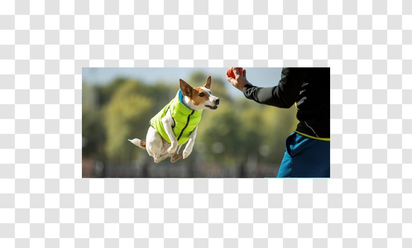 Dog Leash Gilets Daunenjacke Pet - Jump Transparent PNG
