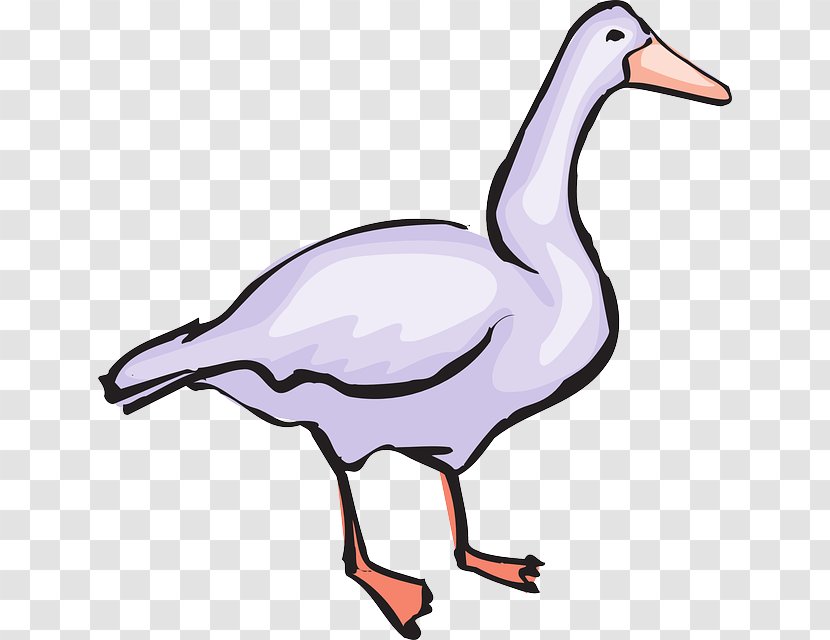 Goose Bird Clip Art - Website - Classic Design Sketch Transparent PNG