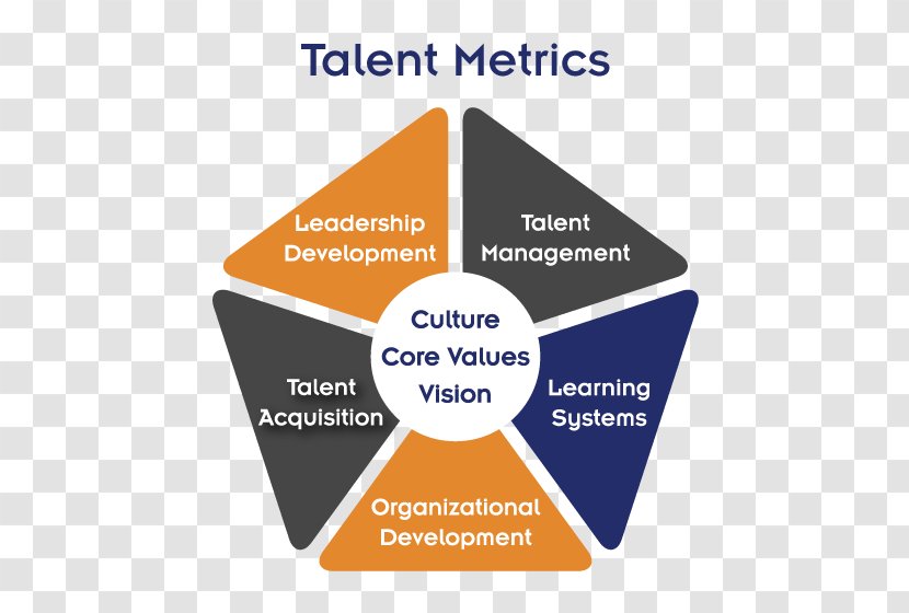 Organization Balanced Scorecard Talent Management Business - Diagram Transparent PNG