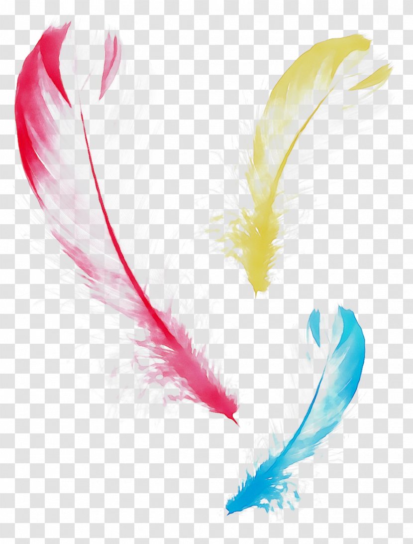 Feather Beak - Wing - Writing Implement Transparent PNG