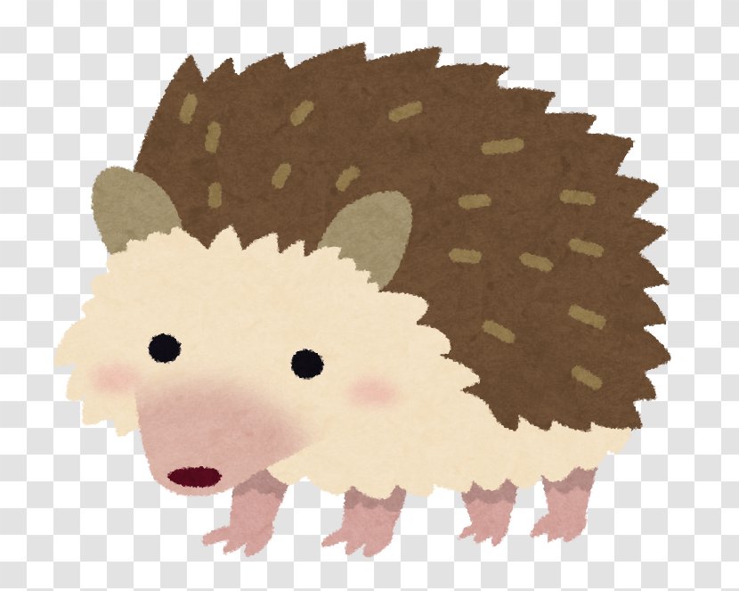 Hedgehog 株式会社スマイルヴィジョン Pet 飼育 ネズミ - Animal Transparent PNG