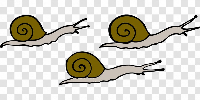 Snail Clip Art - Snails Transparent PNG