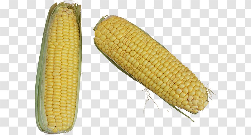 Corn On The Cob Maize Food Kernel - Vegetable Transparent PNG