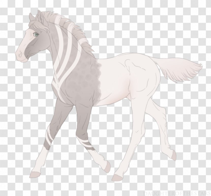 Mustang Stallion Foal Pony Mare - Horse Like Mammal - Rat & Mouse Transparent PNG