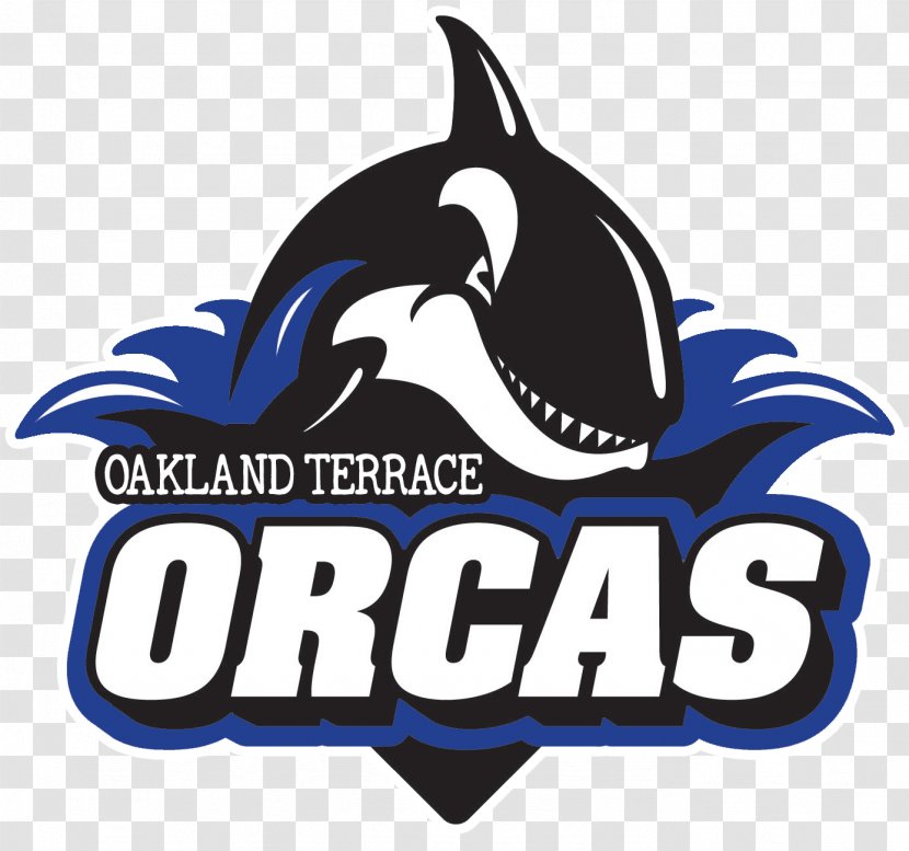 Logo Killer Whale American Football Dolphin Transparent PNG