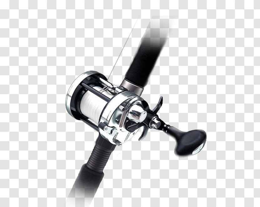 Outdoor Recreation Fishing Hunting Leisure - Reels Transparent PNG