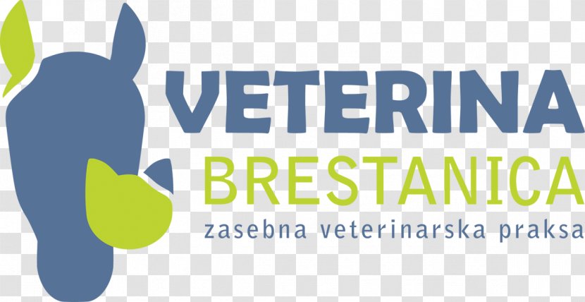 Cat Veterinarian Veterinary Medicine Dog Pharmacist - Pet Transparent PNG