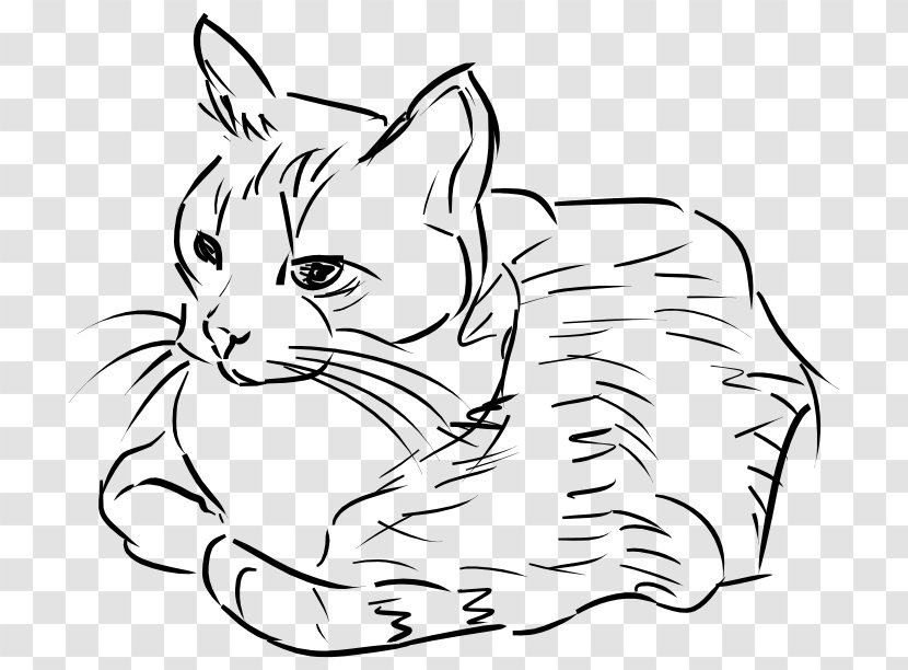 Cat Pet Sitting Drawing Clip Art - Mammal Transparent PNG